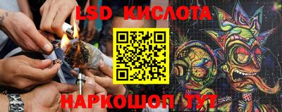 a pvp Усть-Илимск