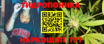 молекула духа Усть-Джегута