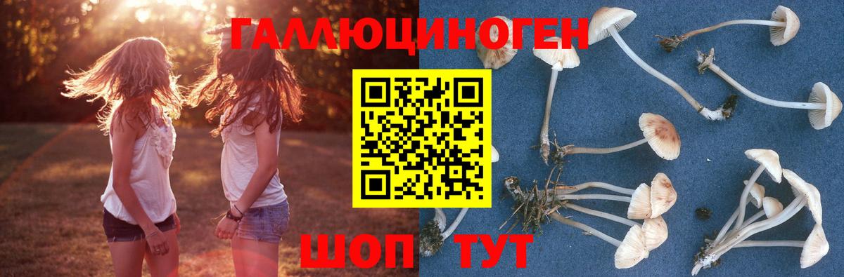 Алатырь  Псилоцибиновые грибы Psilocybine cubensis  Вход с VPN  купить  цена  Галлюциногенные грибы MAGIC MUSHROOMS 