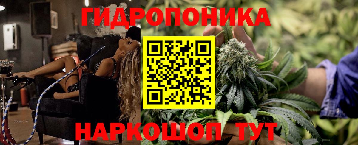 Марихуана марихуана  Бошки Шишки OG Kush  Вход с VPN  Алатырь  Шишки марихуана OG Kush 